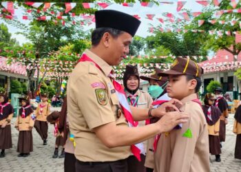 Buka Pesta Siaga I, Ini Pesan dan Harapan Camat Selaku Ka.Mabiran Binawidya