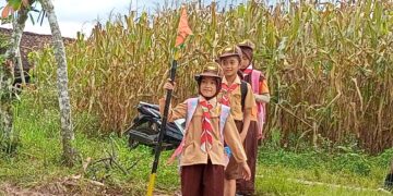 Kisah Hiking Pramuka Siaga Kwarran Simpang Nikmati Pesona Transbar