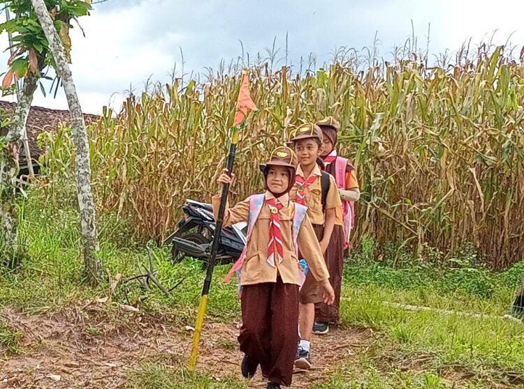 Kisah Hiking Pramuka Siaga Kwarran Simpang Nikmati Pesona Transbar