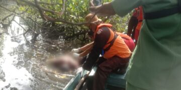 Tim Pramuka Meranti Ikut Cari Warga yang Ditangkap Buaya