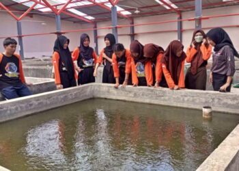 Tingkatkan Kemampuan Budidaya Perikanan, Pramuka DIY Ikuti Pelatihan Pembenihan Ikan Lele