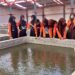 Tingkatkan Kemampuan Budidaya Perikanan, Pramuka DIY Ikuti Pelatihan Pembenihan Ikan Lele