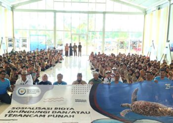 Peserta Kemah Pemuda Pesisir Jadi Penjaga Biota Laut Terancam Punah