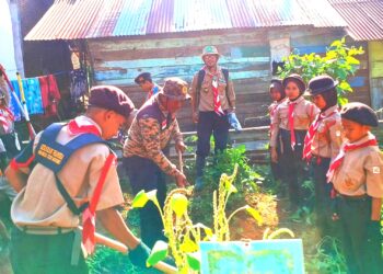 Pramuka Menanam, Rangkaian Bulan Bakti Pramuka 2024 dan Jambore Ranting Patimpeng