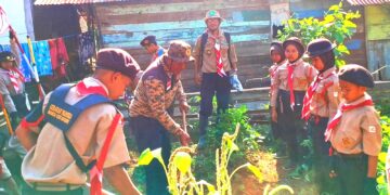 Pramuka Menanam, Rangkaian Bulan Bakti Pramuka 2024 dan Jambore Ranting Patimpeng