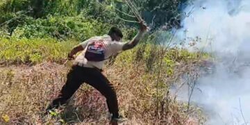 Saka Wanabakti Banyuwangi Sigap Padamkan Kebakaran Lahan di Pantai Seranite