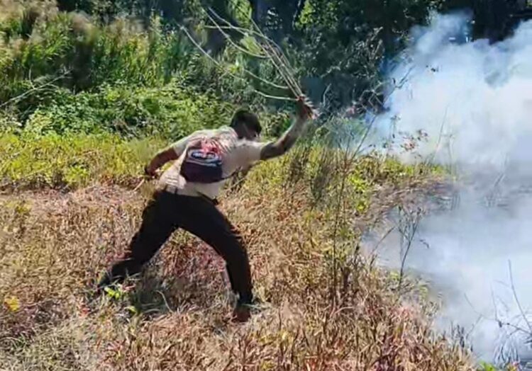 Saka Wanabakti Banyuwangi Sigap Padamkan Kebakaran Lahan di Pantai Seranite