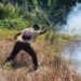 Saka Wanabakti Banyuwangi Sigap Padamkan Kebakaran Lahan di Pantai Seranite