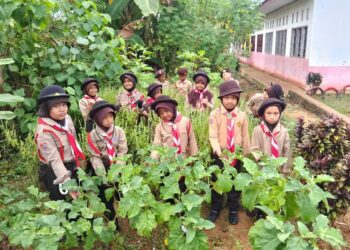 Pramuka SD Inpres 3/77 Masago Manfaatkan Lahan Sekolah, Belajar Bercocok Tanam dan Pelestarian Lingkungan