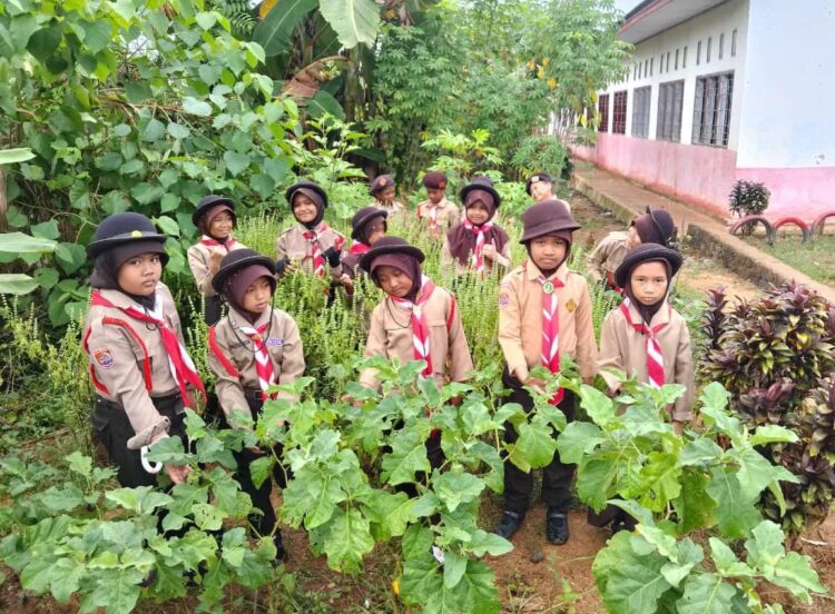 Pramuka SD Inpres 3/77 Masago Manfaatkan Lahan Sekolah, Belajar Bercocok Tanam dan Pelestarian Lingkungan