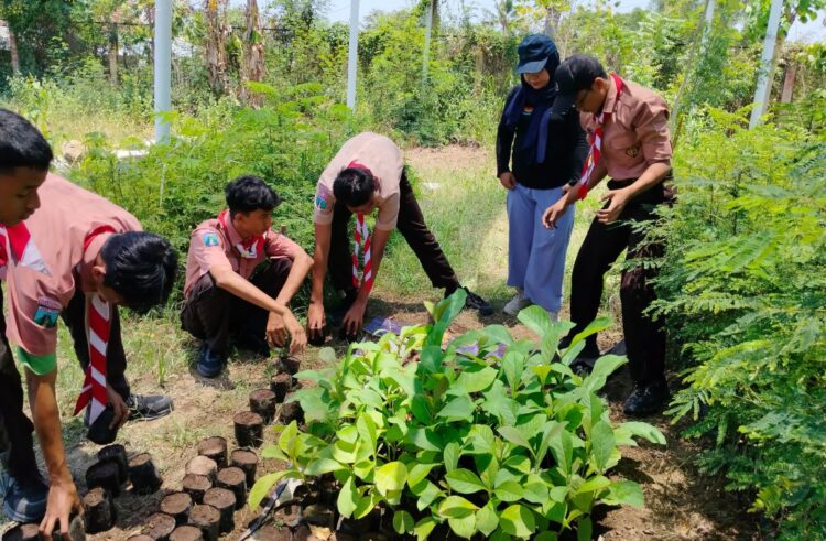 Pramuka Saka Wanabakti Banyuwangi Asah Kecakapan Khusus Perbenihan, Cinta Lingkungan Sejak Dini