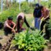Pramuka Saka Wanabakti Banyuwangi Asah Kecakapan Khusus Perbenihan, Cinta Lingkungan Sejak Dini