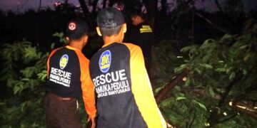 Pramuka Peduli Banyumas Evakuasi Pohon Tumbang Di Kecamatan Sumbang