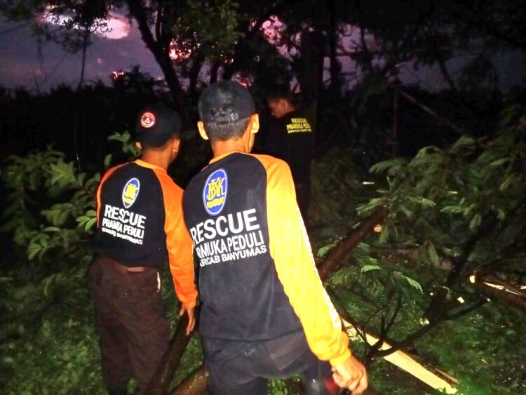 Pramuka Peduli Banyumas Evakuasi Pohon Tumbang Di Kecamatan Sumbang