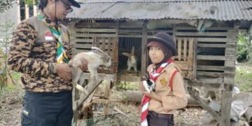 Pramuka Penggalang SD di Masago, Kenali dan Belajar Beternak Kelinci