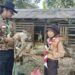 Pramuka Penggalang SD di Masago, Kenali dan Belajar Beternak Kelinci