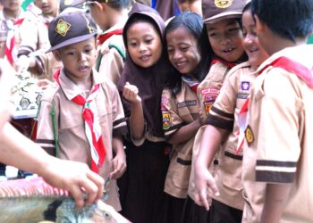 Siaga Bergembira dan Bersahabat dengan Hewan