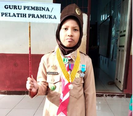 Ada Pelatih Pramuka Dalam Pawai Karnaval Tema Profesi Di Bone