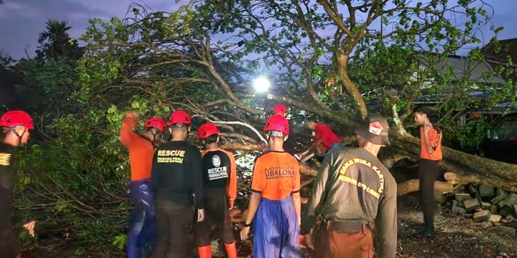 Saka Wira Kartika Kodim 0701/Banyumas Bantu Evakuasi Pohon Tumbang