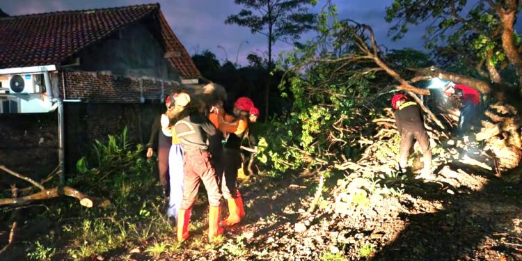 Saka Wira Kartika Kodim 0701/Banyumas Bantu Evakuasi Pohon Tumbang