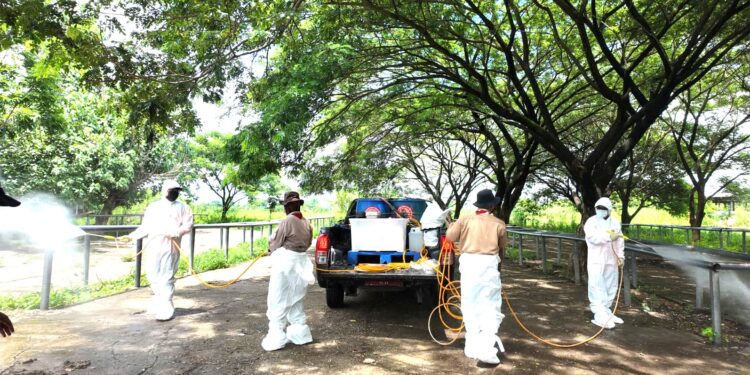 Pramuka Jatim Terlibat Pencegahan Penyakit Mulut dan Kuku di Pasar Hewan Balongpanggang Gresik