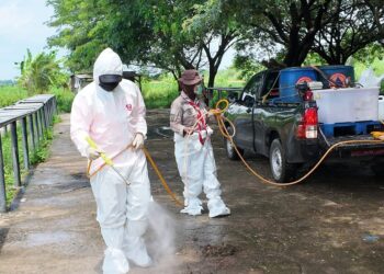 Pramuka Jatim Terlibat Pencegahan Penyakit Mulut dan Kuku di Pasar Hewan Balongpanggang Gresik