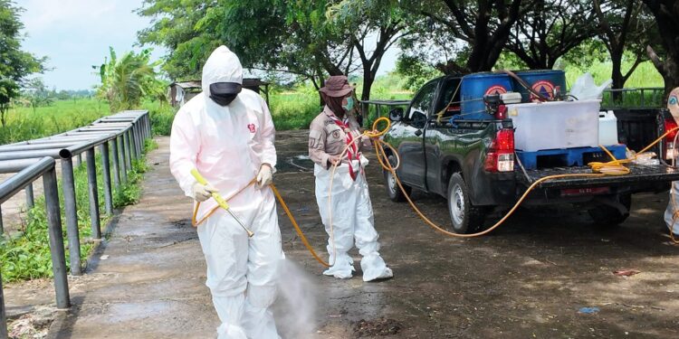 Pramuka Jatim Terlibat Pencegahan Penyakit Mulut dan Kuku di Pasar Hewan Balongpanggang Gresik