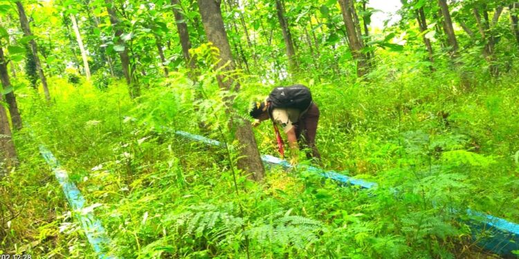 Saka Wanabakti Banyuwangi Latih Anggota Ukur Besaran Erosi