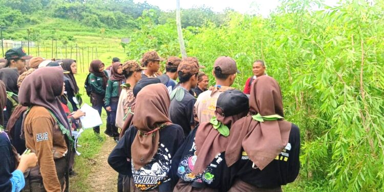 Saka Wanabakti Grobogan Bekali Anggota Cara Pembibitan Tanaman