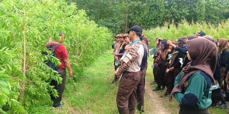 Saka Wanabakti Grobogan Bekali Anggota Cara Pembibitan Tanaman