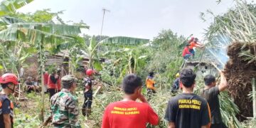 Saka Bhayangkara Polresta Banyumas Bantu Penanganan Rumpun Bambu Tumbang