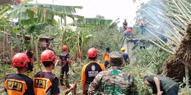 Saka Bhayangkara Polresta Banyumas Bantu Penanganan Rumpun Bambu Tumbang