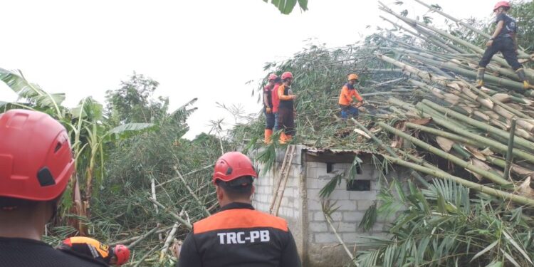 Saka Bhayangkara Polresta Banyumas Bantu Penanganan Rumpun Bambu Tumbang