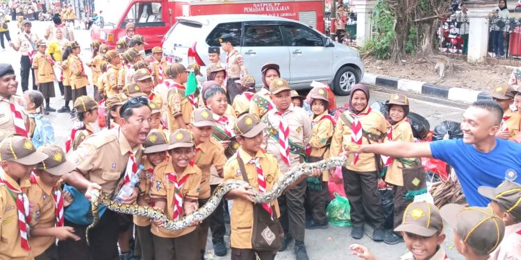 Cintai Lingkungan, Peserta Pesta Siaga Berkenalan Dengan Reptil
