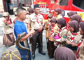 Cintai Lingkungan, Peserta Pesta Siaga Berkenalan Dengan Reptil