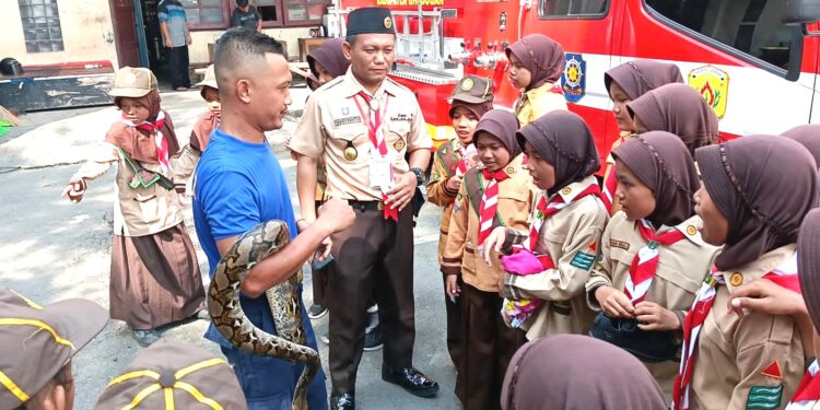 Cintai Lingkungan, Peserta Pesta Siaga Berkenalan Dengan Reptil