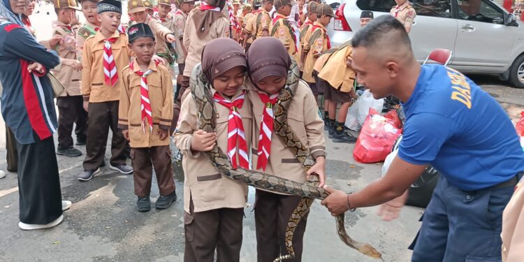 Cintai Lingkungan, Peserta Pesta Siaga Berkenalan Dengan Reptil