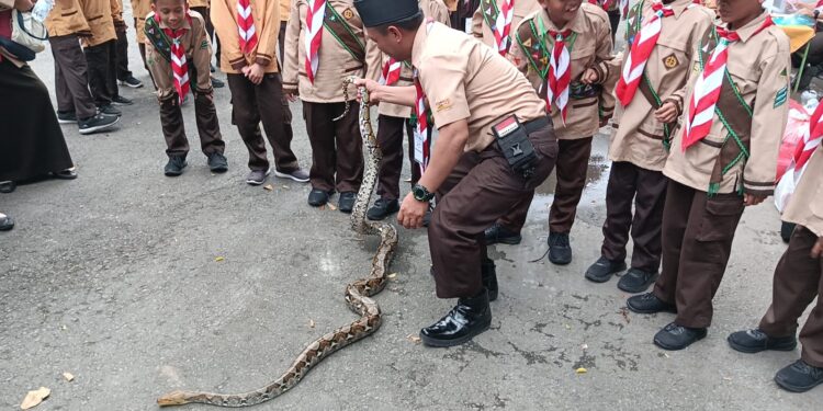 Cintai Lingkungan, Peserta Pesta Siaga Berkenalan Dengan Reptil