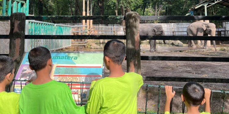 DKC Jakarta Selatan Tersistem: Misi Besar Kak Bintang