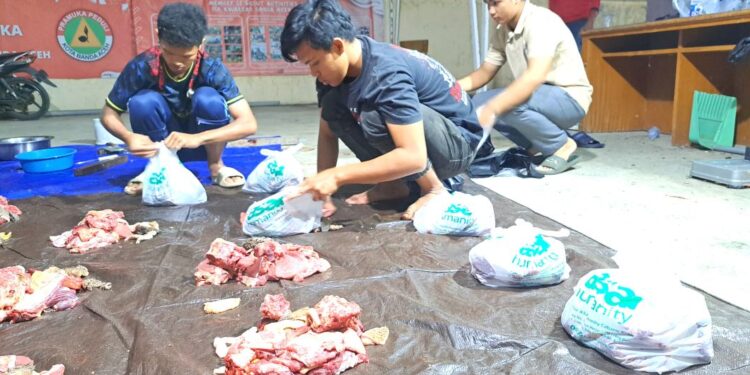 Pramuka Peduli Banda Aceh, Salurkan Kurban Idul Adha 1446 H