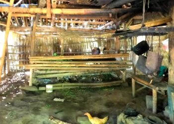 Serumah Dengan Kandang Sapi, Bu Marti’a Dapat Bantuan Pemugaran Rumah dari Kwarda Jatim