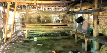 Serumah Dengan Kandang Sapi, Bu Marti’a Dapat Bantuan Pemugaran Rumah dari Kwarda Jatim