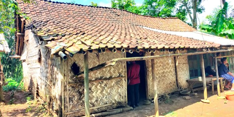 Serumah Dengan Kandang Sapi, Bu Marti’a Dapat Bantuan Pemugaran Rumah dari Kwarda Jatim