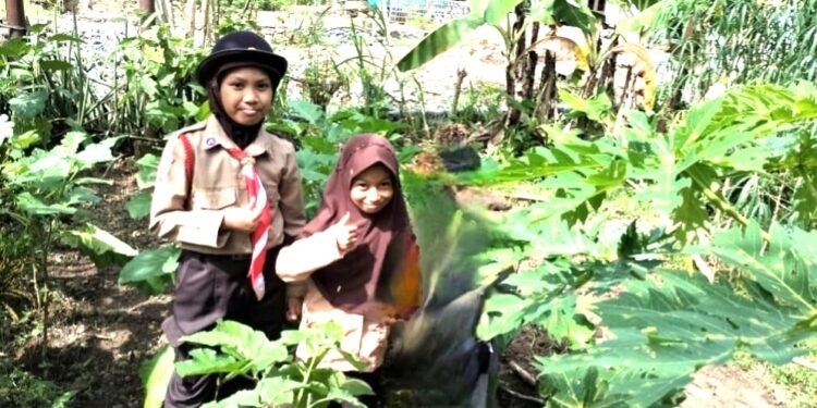 Pramuka SD Inpres 3/77 Masago Pengenalan Budidaya Hortikultura: Tingkatan Keterampilan dan Kesadaran Lingkungan