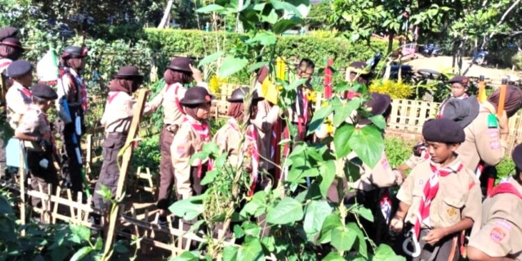 Pramuka SD Inpres 3/77 Masago Pengenalan Budidaya Hortikultura: Tingkatan Keterampilan dan Kesadaran Lingkungan