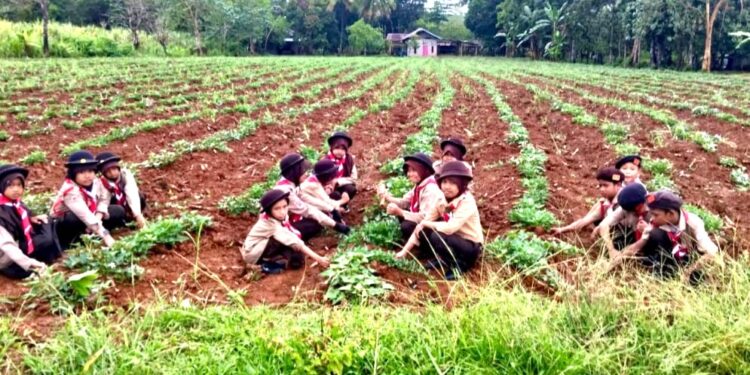 Pramuka SD Inpres 3/77 Masago Pengenalan Budidaya Hortikultura: Tingkatan Keterampilan dan Kesadaran Lingkungan