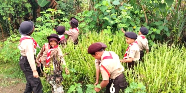 Pramuka SD Inpres 3/77 Masago Pengenalan Budidaya Hortikultura: Tingkatan Keterampilan dan Kesadaran Lingkungan