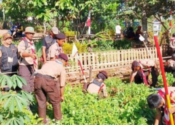 Pramuka SD Inpres 3/77 Masago Pengenalan Budidaya Hortikultura: Tingkatan Keterampilan dan Kesadaran Lingkungan