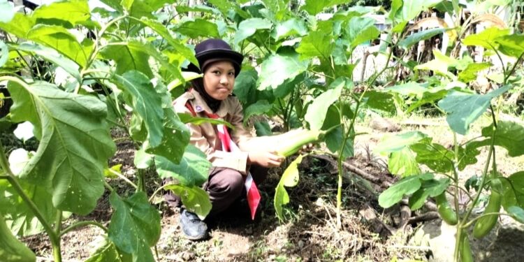 Pramuka SD Inpres 3/77 Masago Pengenalan Budidaya Hortikultura: Tingkatan Keterampilan dan Kesadaran Lingkungan