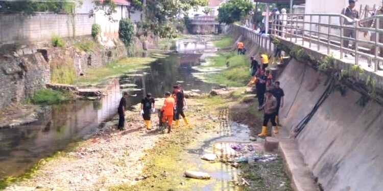 Pramuka Saka Kalpataru Ikuti Aksi Kali Bersih dan Tanam Bibit Hari Lingkungan Hidup se Dunia di Sawahlunto